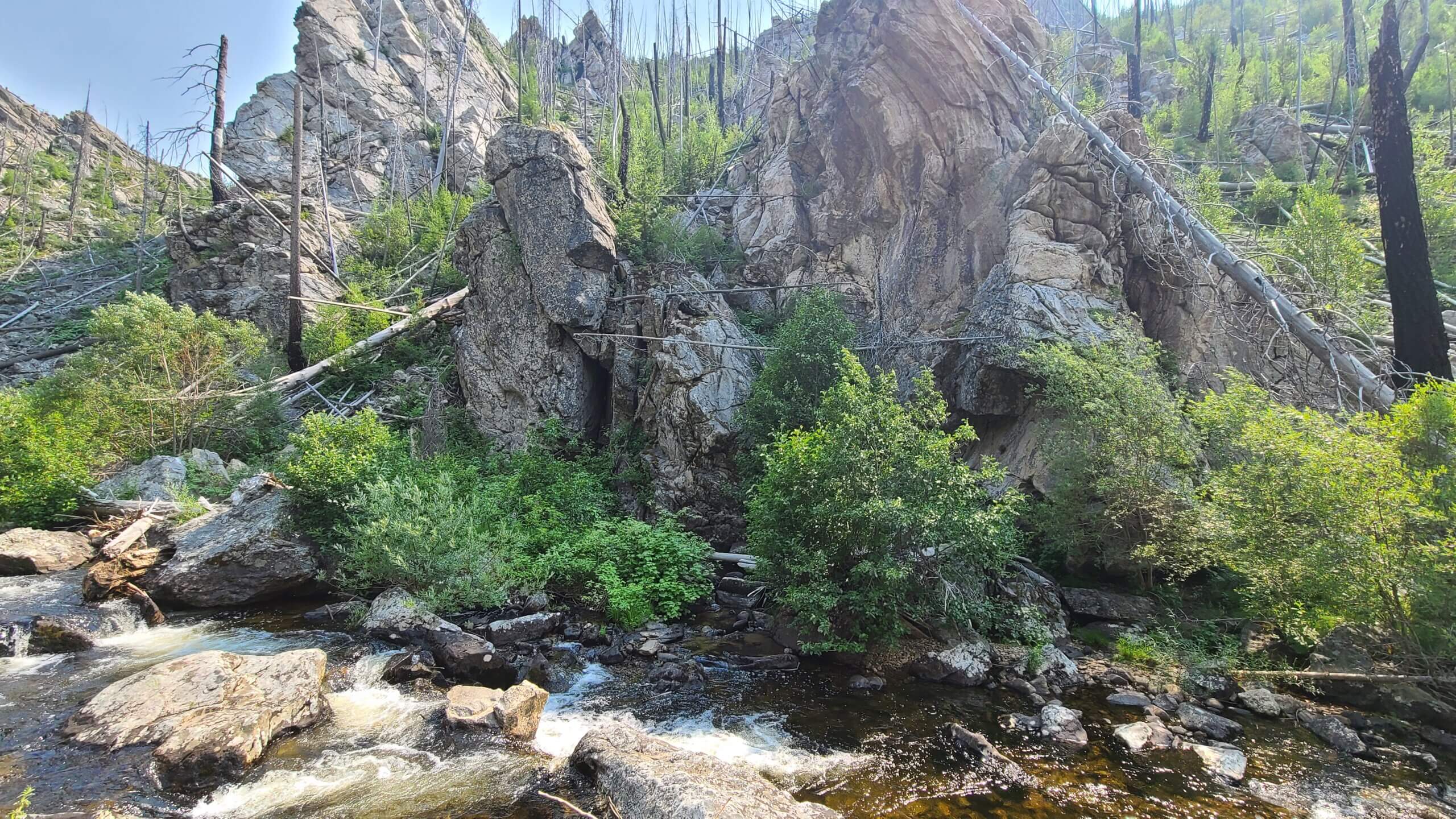 Sleeping Child Creek, MT | Photo by Jessy Stevenson