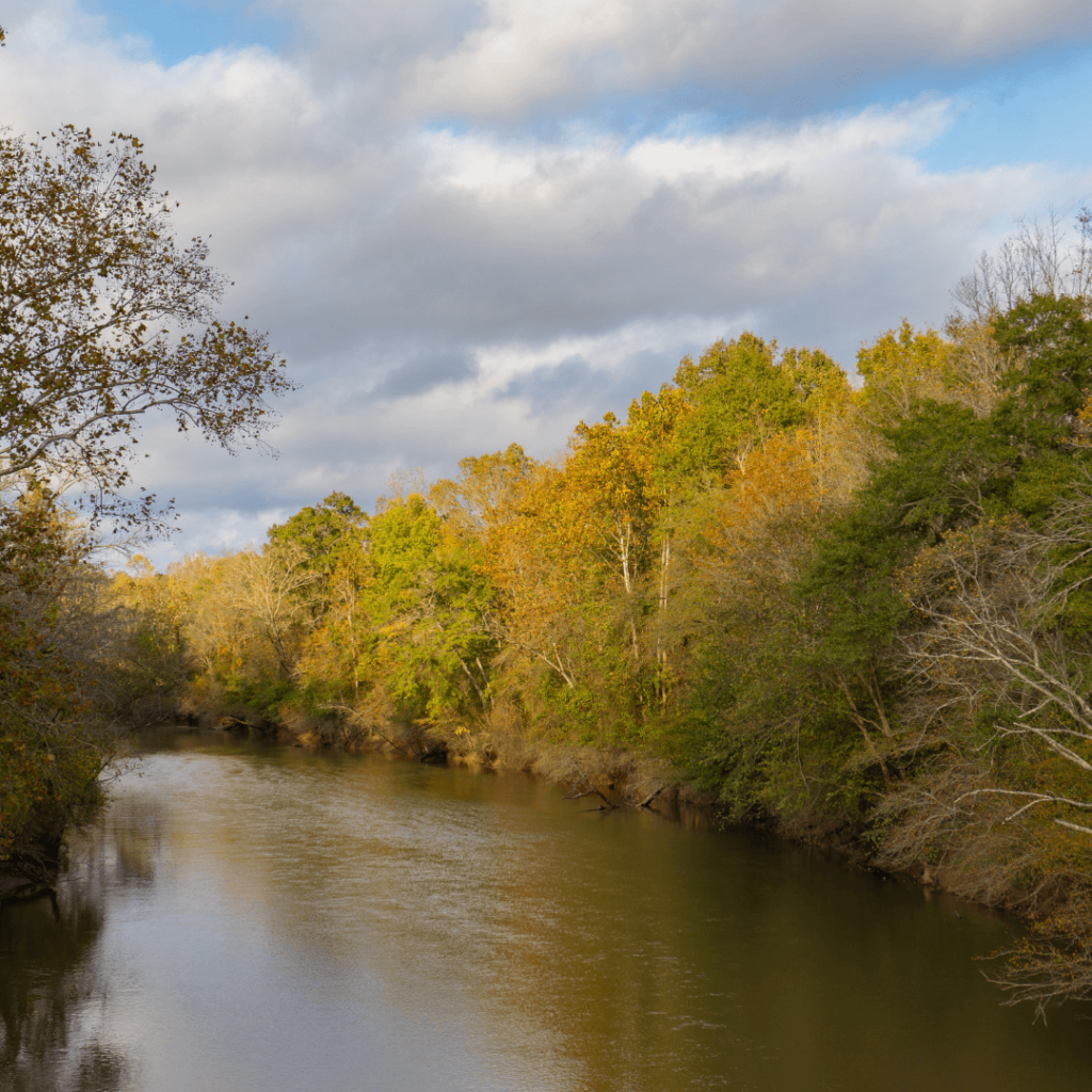 Neuse River | Photo by Liz W Grogan