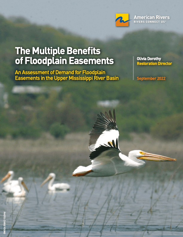 The Multiple Benefits of Floodplain Easements Report