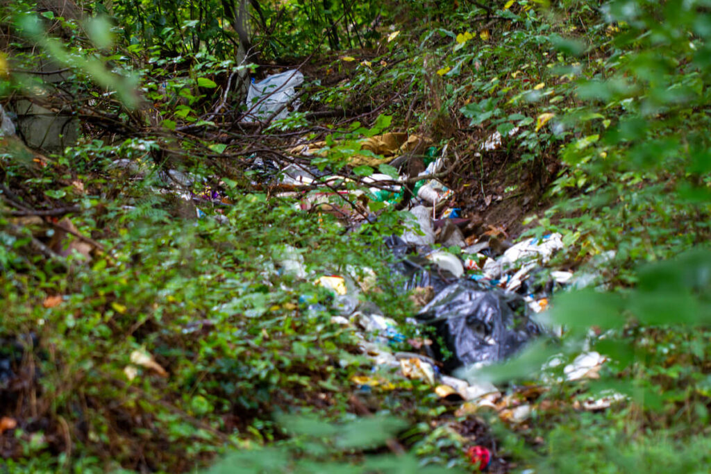 Trash on Morning Creek - Photo by Danielle Bunch
