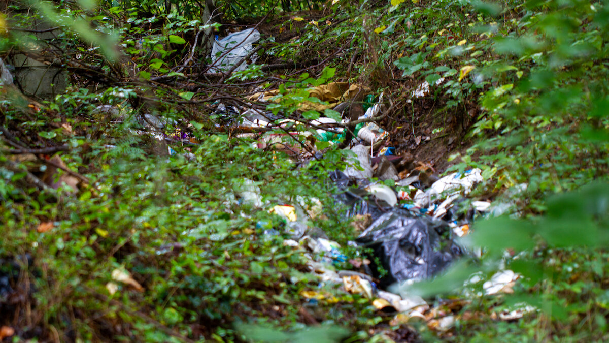 Trash on Morning Creek - Photo by Danielle Bunch