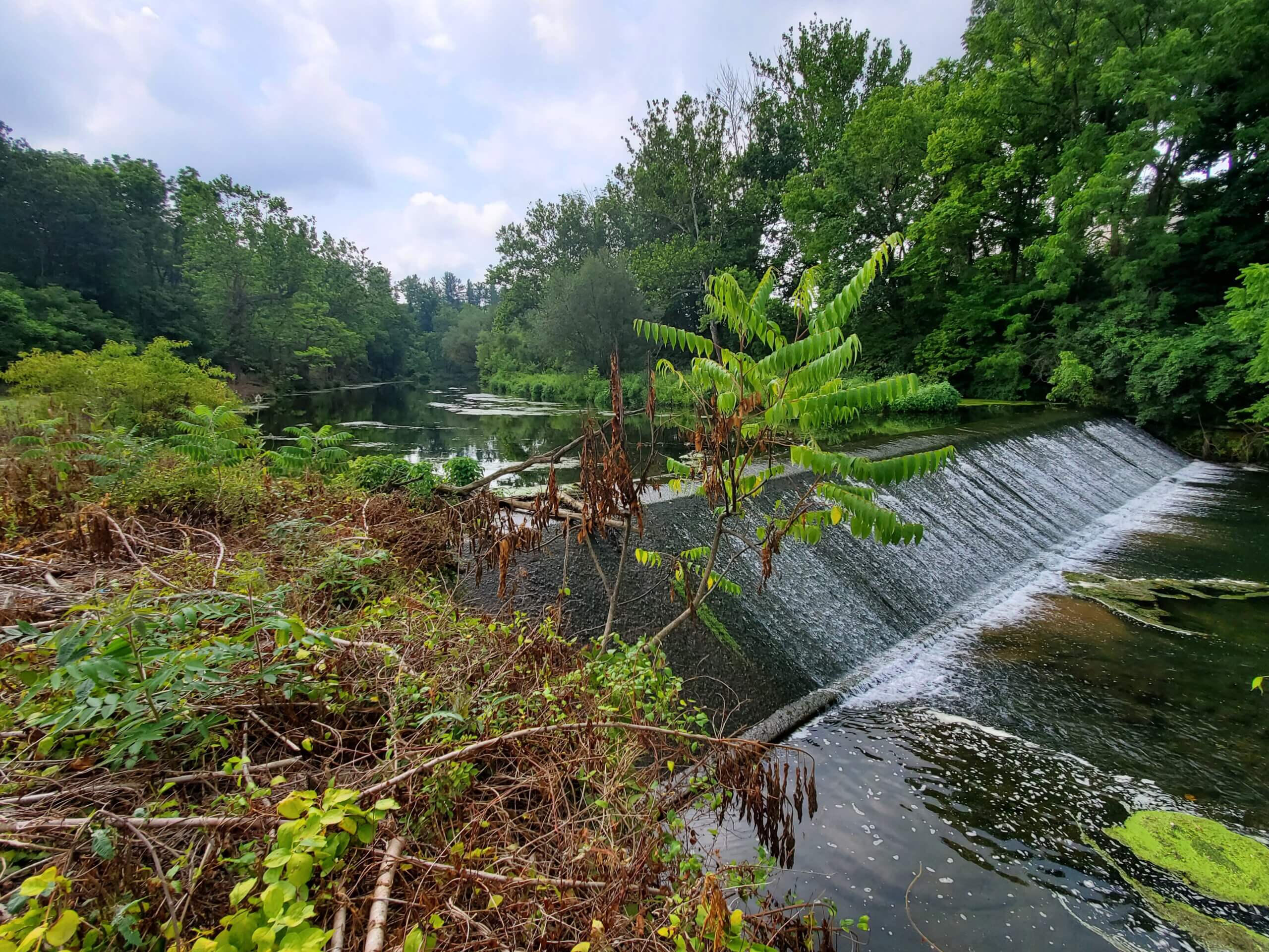 Paper Mill Dam before removal