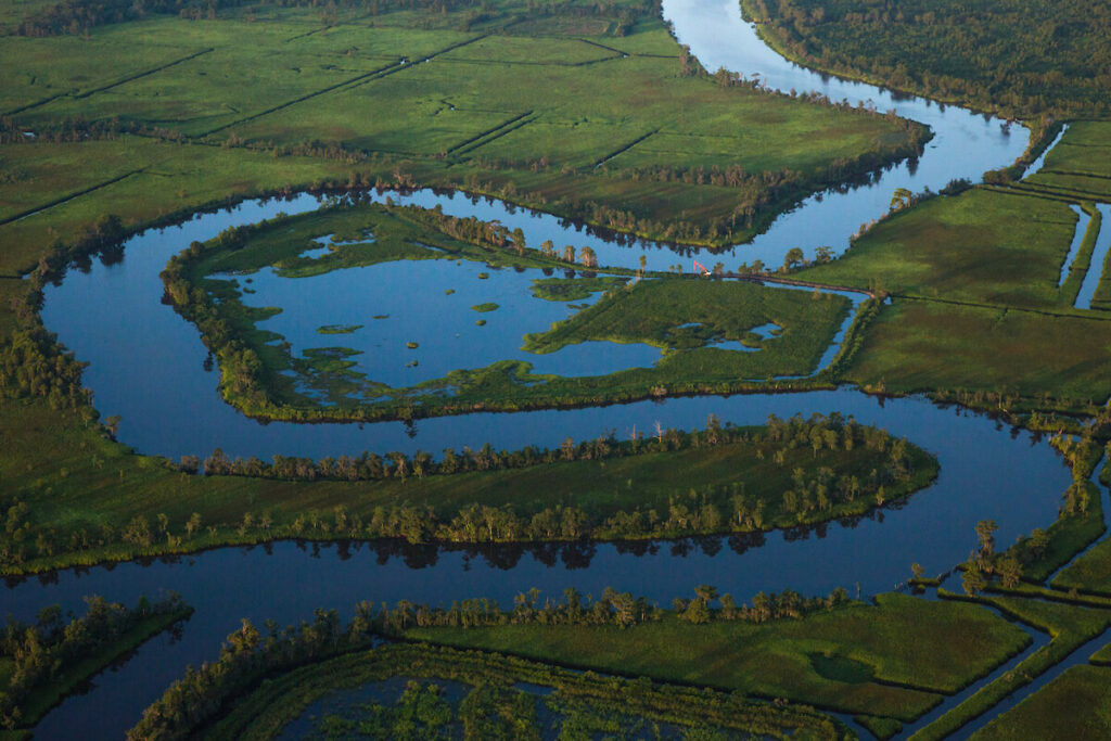 Waccamaw and Pee Dee rivers, South Carolina | Mac Stone