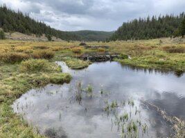 New Report: State of the Science on Restoring Western Headwater Mountain Streams