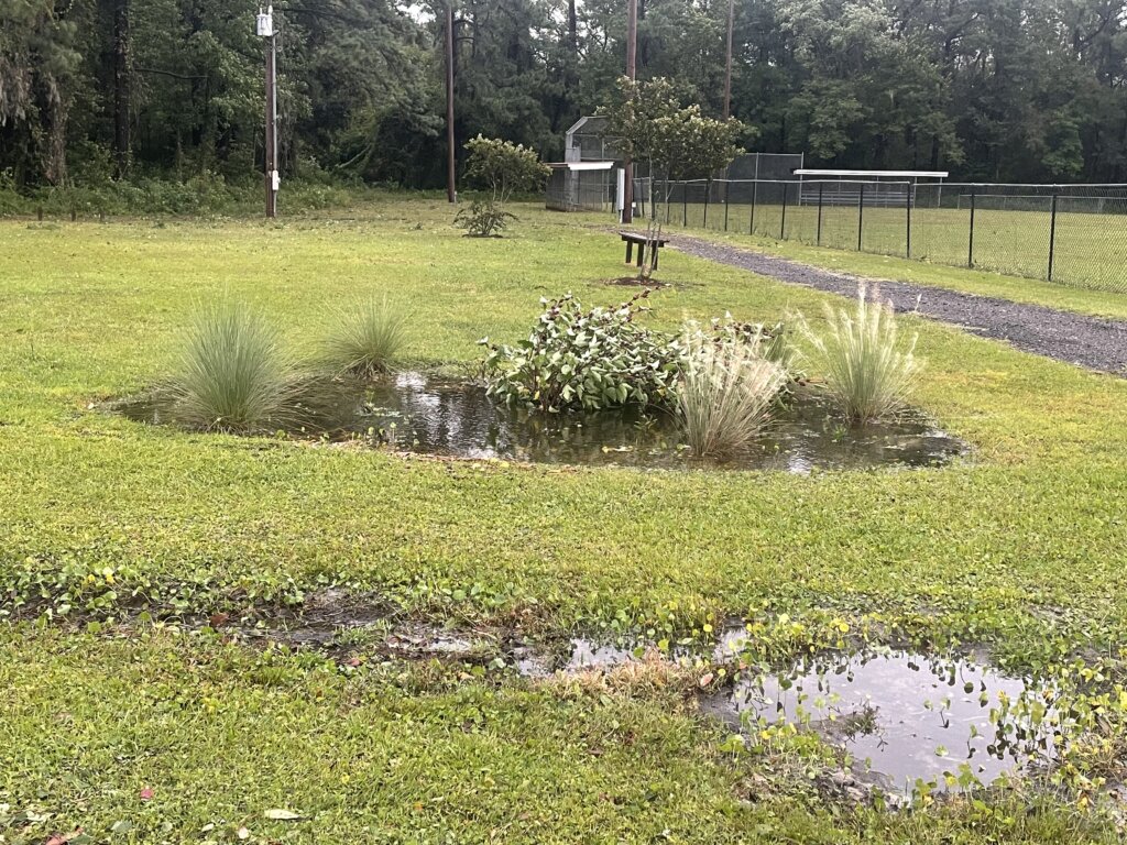 The rain garden in the midst of flooding | Photo by: Ashley Cowan, HCPR