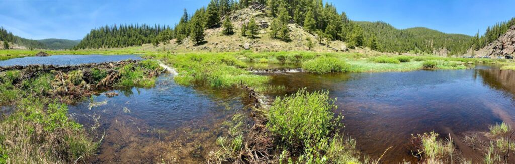 Trail Creek, Gunnison County, CO | Photo by Jackie Corday