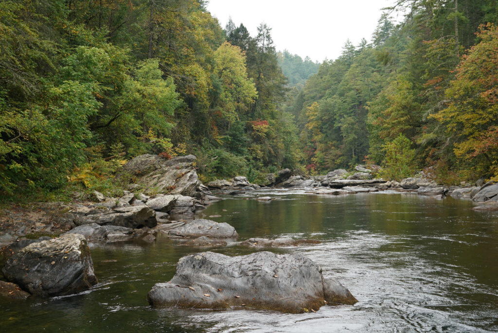 Chattooga River | Photo by Sinjin Eberle