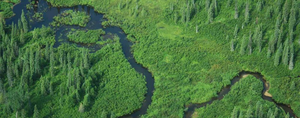 Chuitna River river image