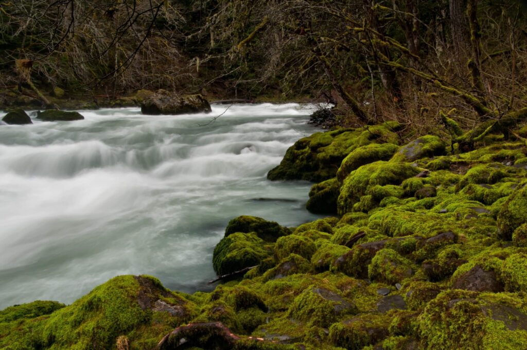 Elwha River | Photo by James Wengler