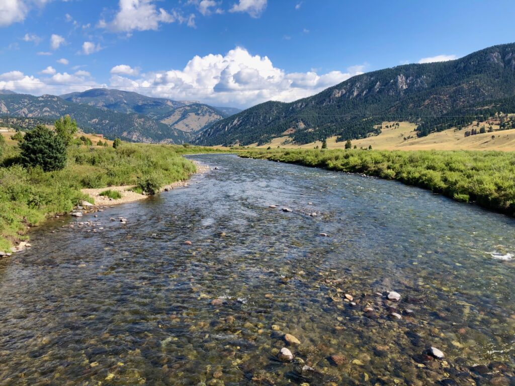 Gallatin River, MT | Photo by Scott Bosse