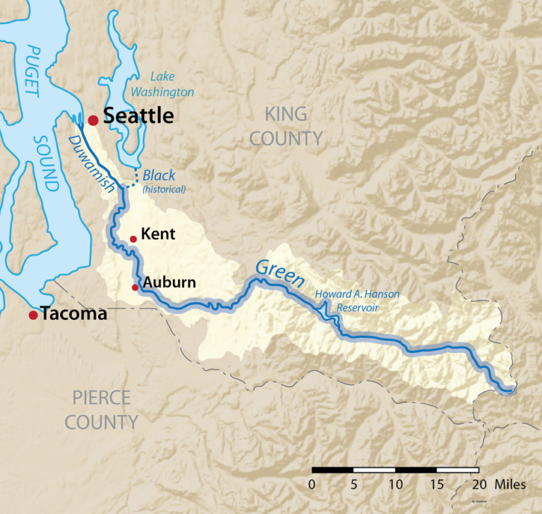 GreenDuwamish River