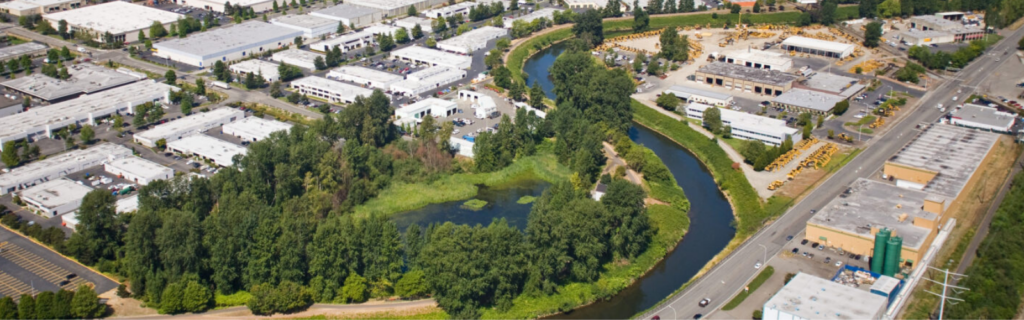 Green-Duwamish River river image