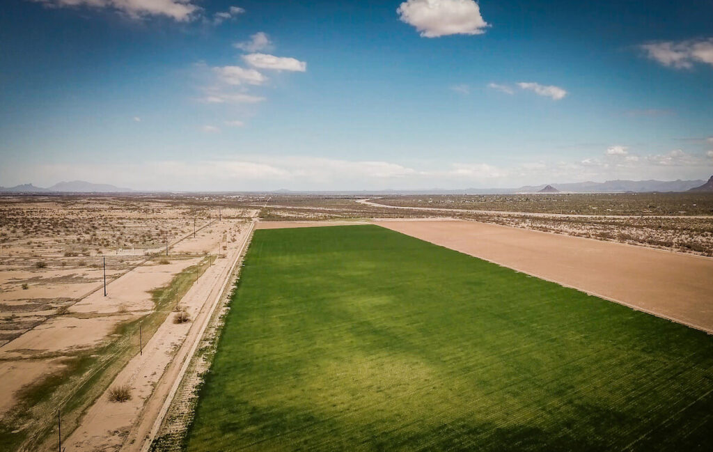 BKW Farms is a model for what sustainable water consumption and conservation can look like in the heart of Arizona's Sonoran Desert | Photo: Sinjin Eberle