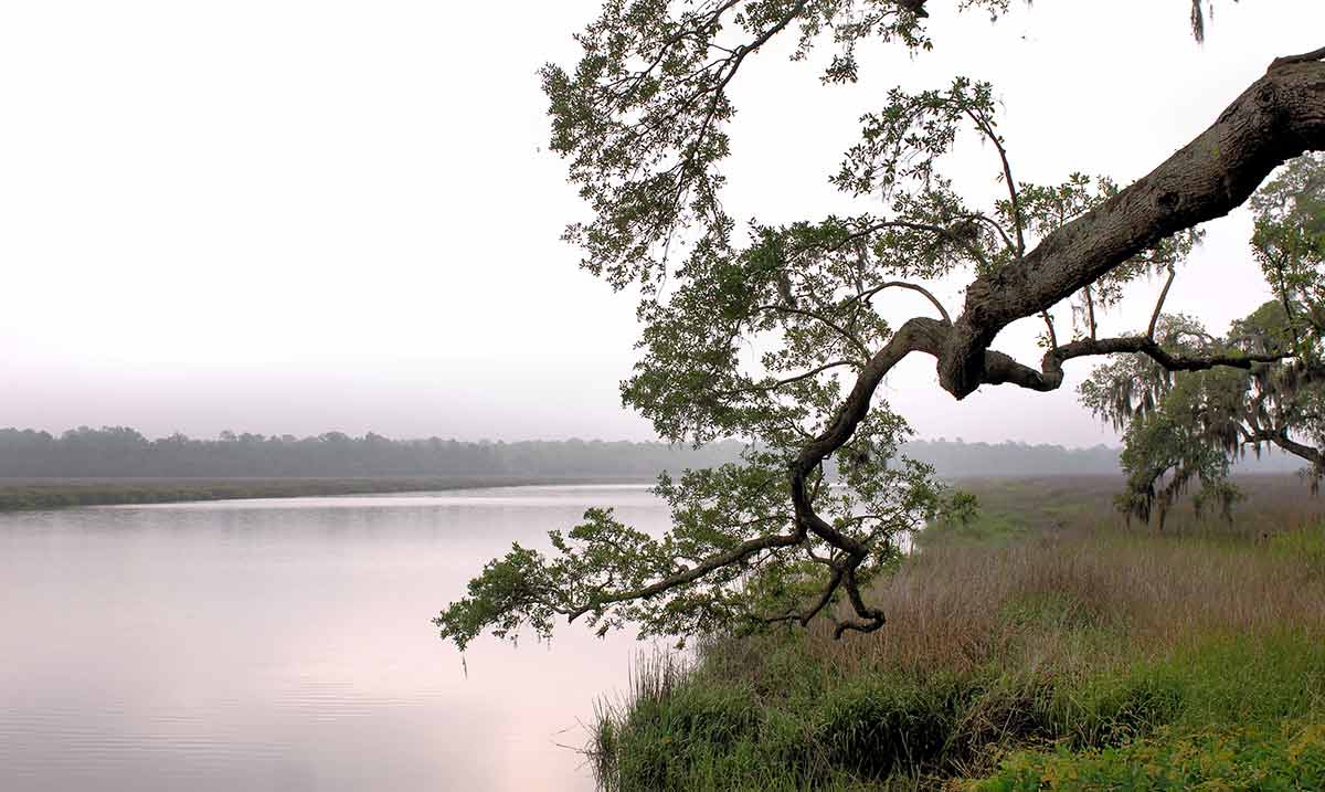 image for Ashley River, SC | Larry Gleason