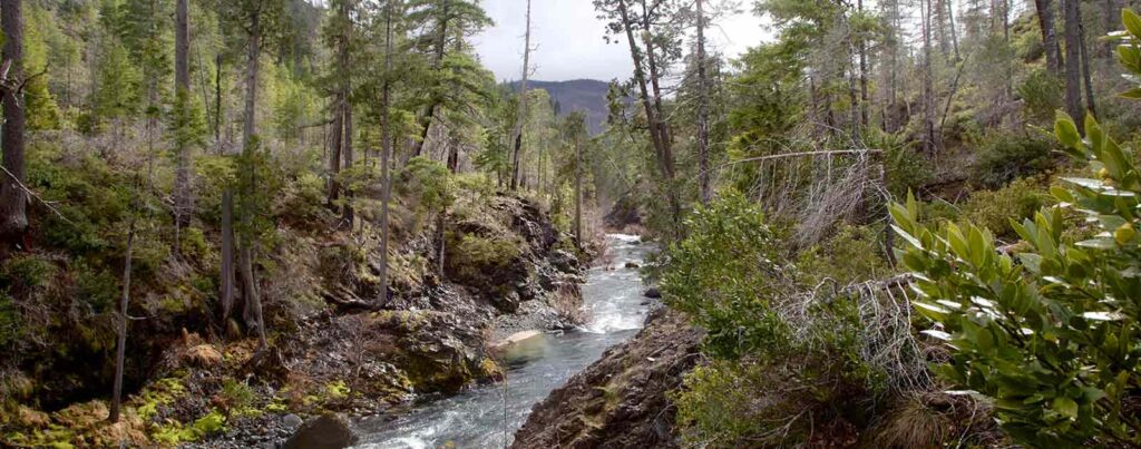Rough &amp; Ready and Baldface Creeks river image