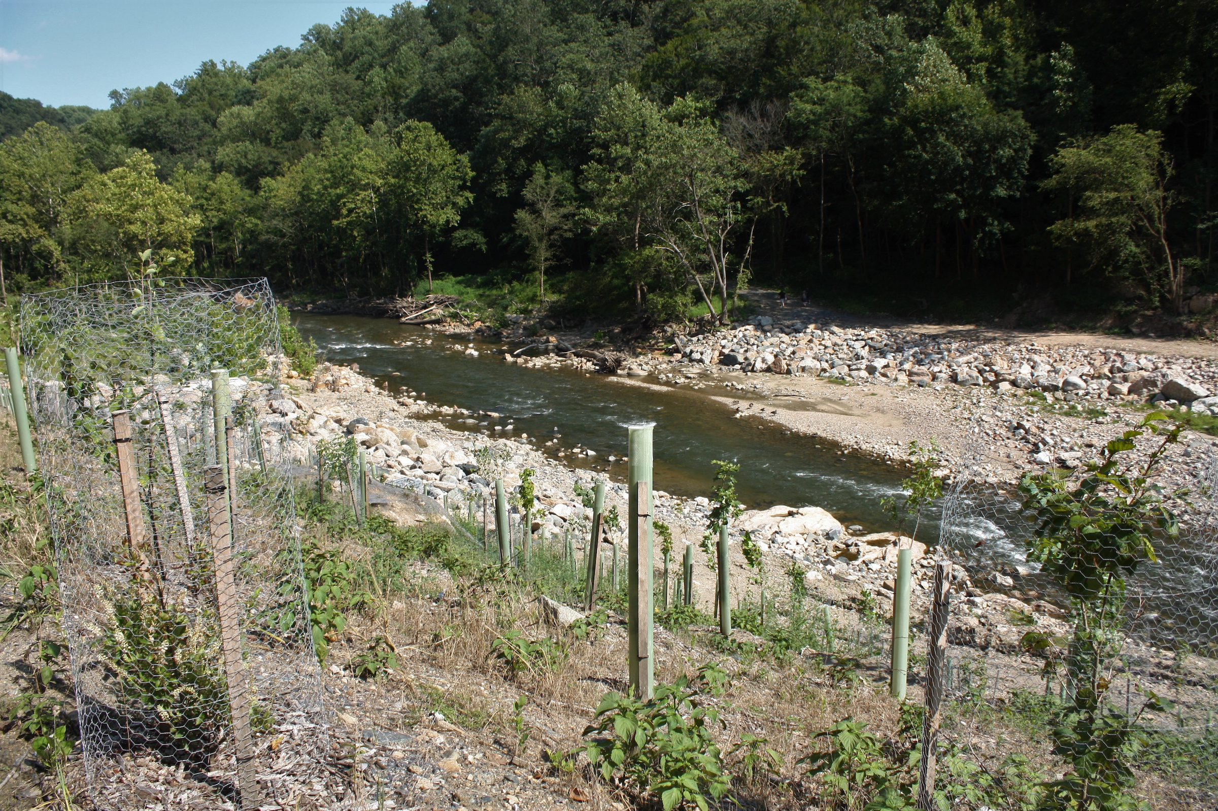 Patapsco River after Bloede Dam removal | Photo by Jessie Thomas-Blate