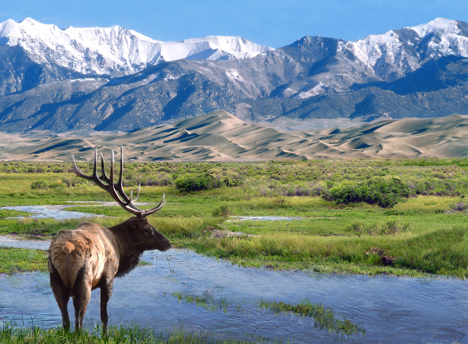 Rio Grande River | National Park Service