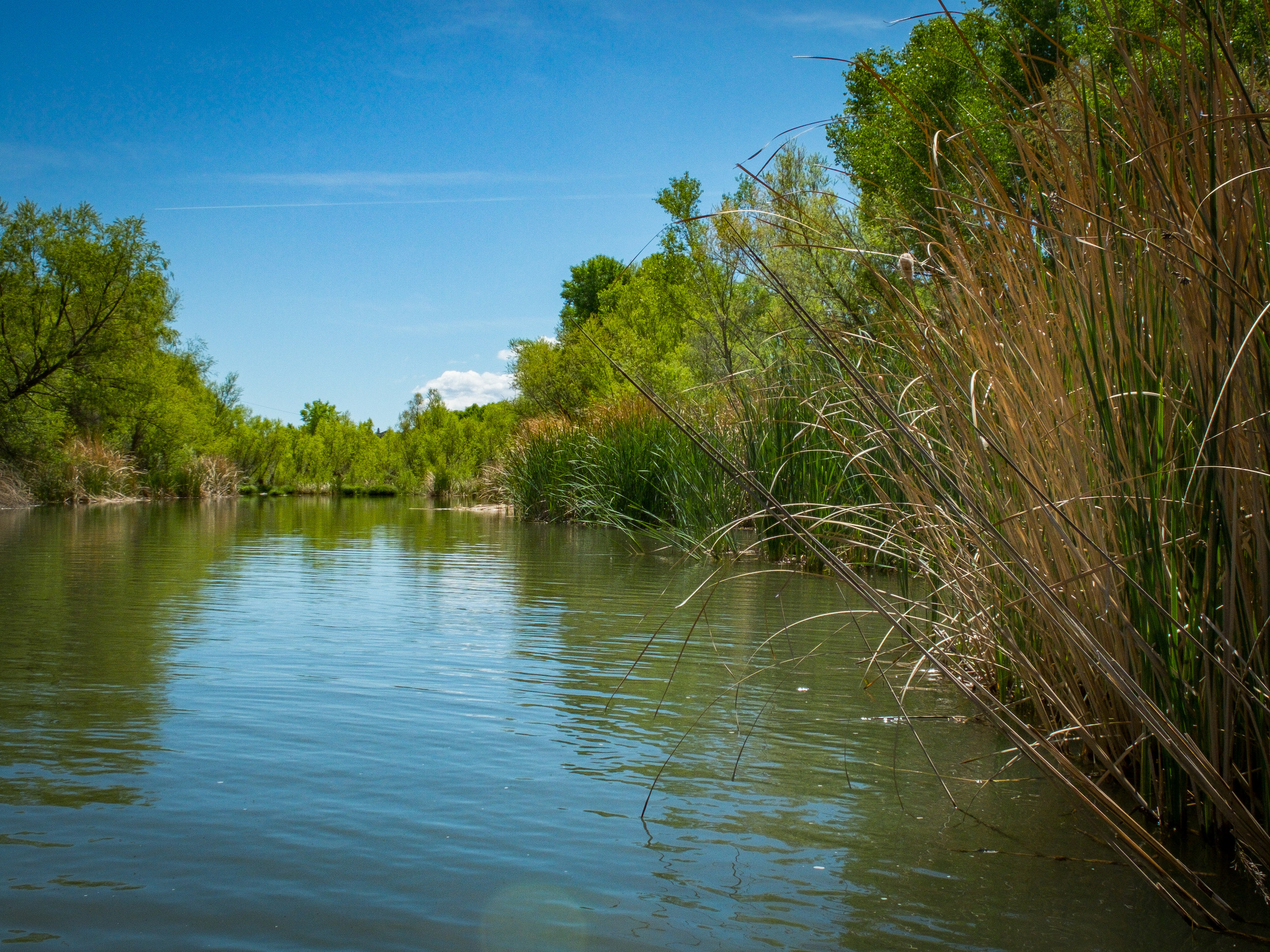 Verde River | Sinjin Eberle