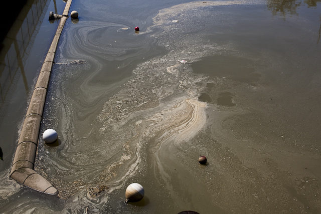 Raw sewage in Gowanus Canal, New York | American Rivers