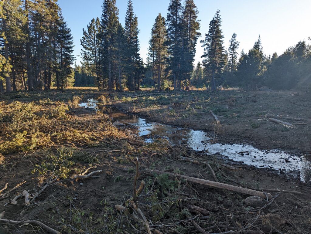 Calf Pasture After | Photo by Maiya Greenwood