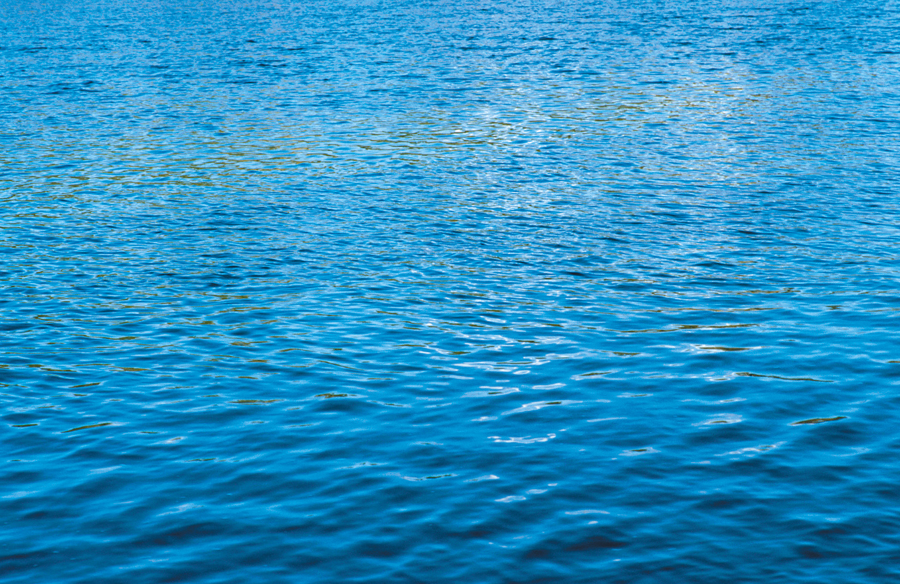 Dollars and Dams Building SAfety into California’s Future