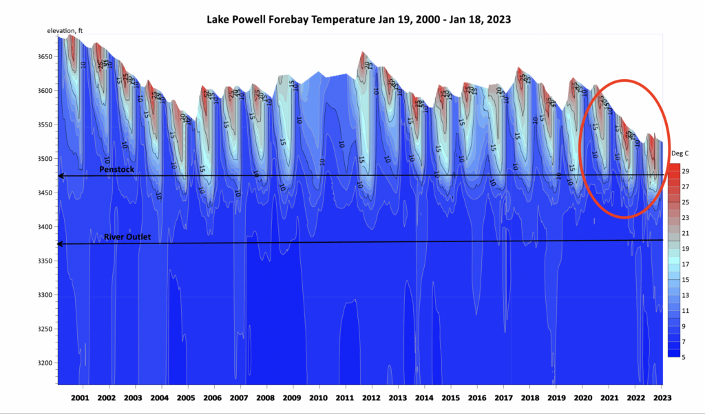 With lake levels falling, warm water is more readily being pulled through the hydropower tubes (penstocks) along with small mouth bass. Photo courtesy GCMRC - data is preliminary.