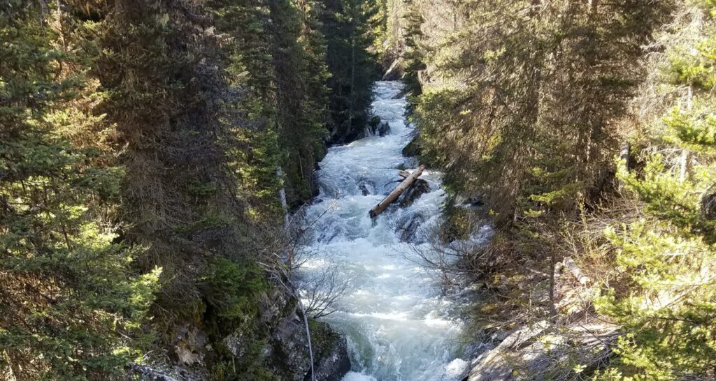 Images of Rattlesnake Creek