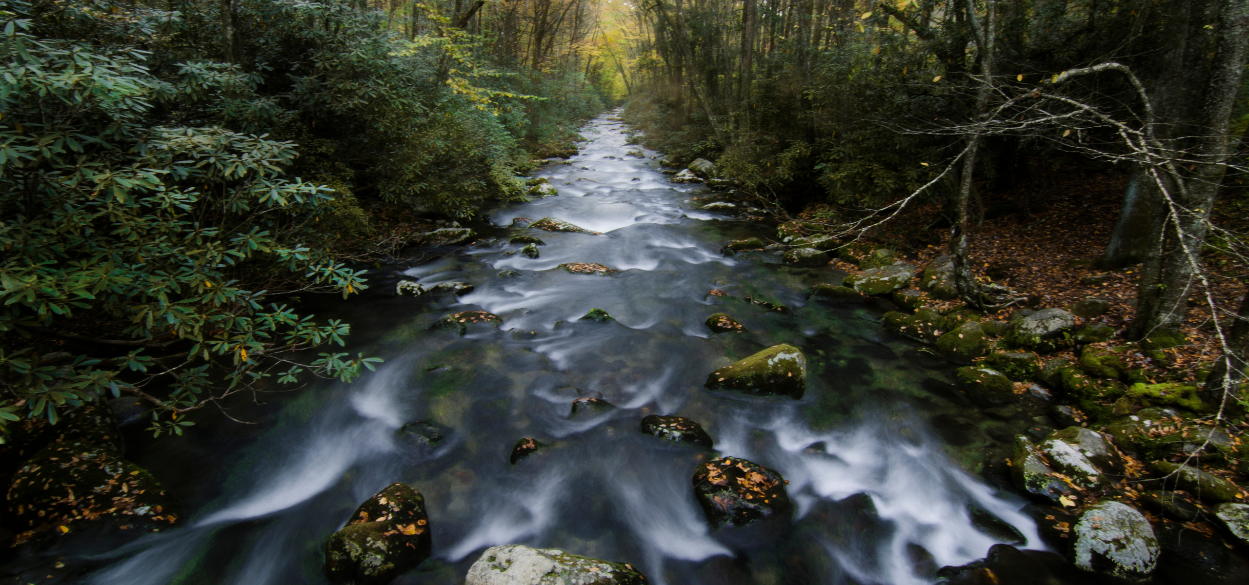 Oconaluftee River | Canva Photos