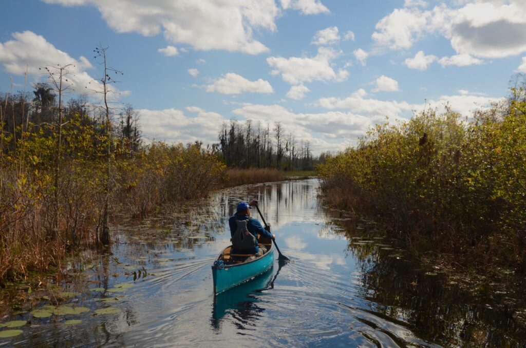 Okefenokee Swamp | Georgia River Network