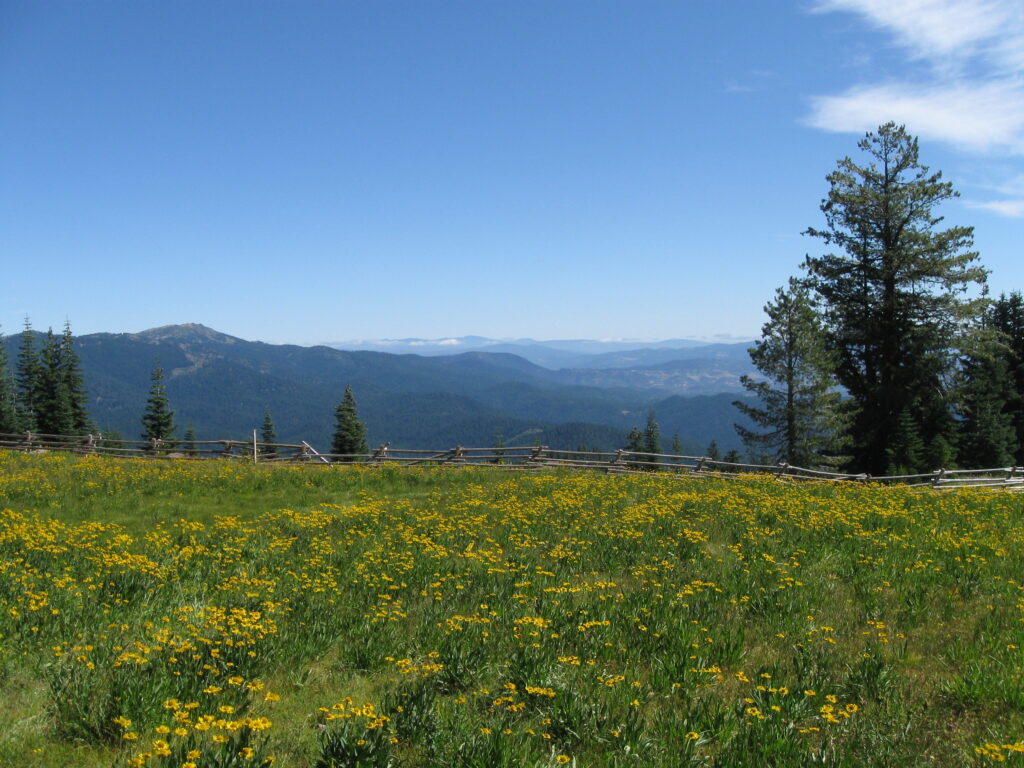 Alpine Wet Meadow in the Klamath Mountains | Photo by Sheri Hagwood, USFWS