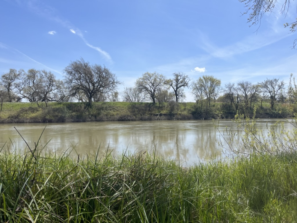 Elk Slough near the Sacramento River | Marcus Kahn