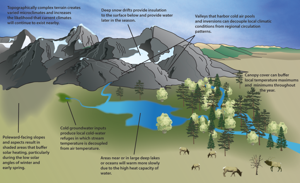 Map of Refugia | Graphic: TBD