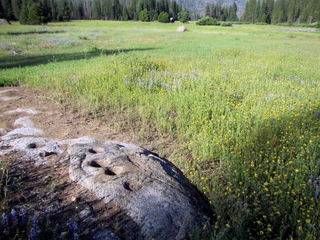 Grinding rocks used by indigenous inhabitants of the area in and around Ackerson Meadow | Photo: Evan Wold