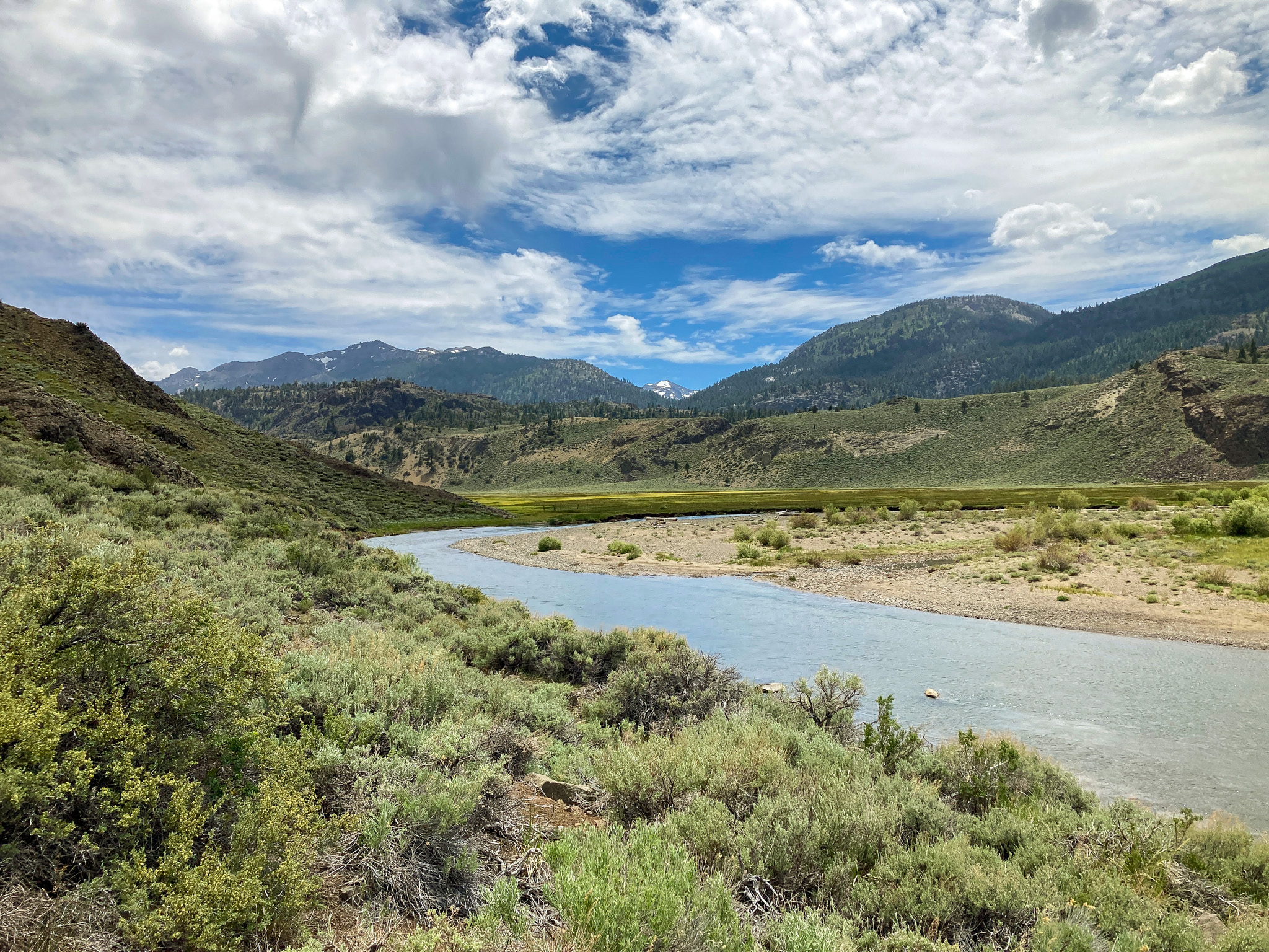 Pickel Meadow on the West Walker River in the Eastern Sierra Nevada | Matt Freitas