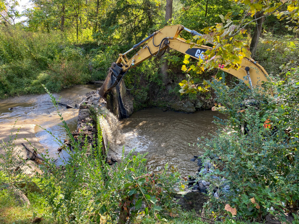 Beaverdam Creek Dam Removal