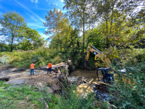 Beaverdam Creek Dam Removal