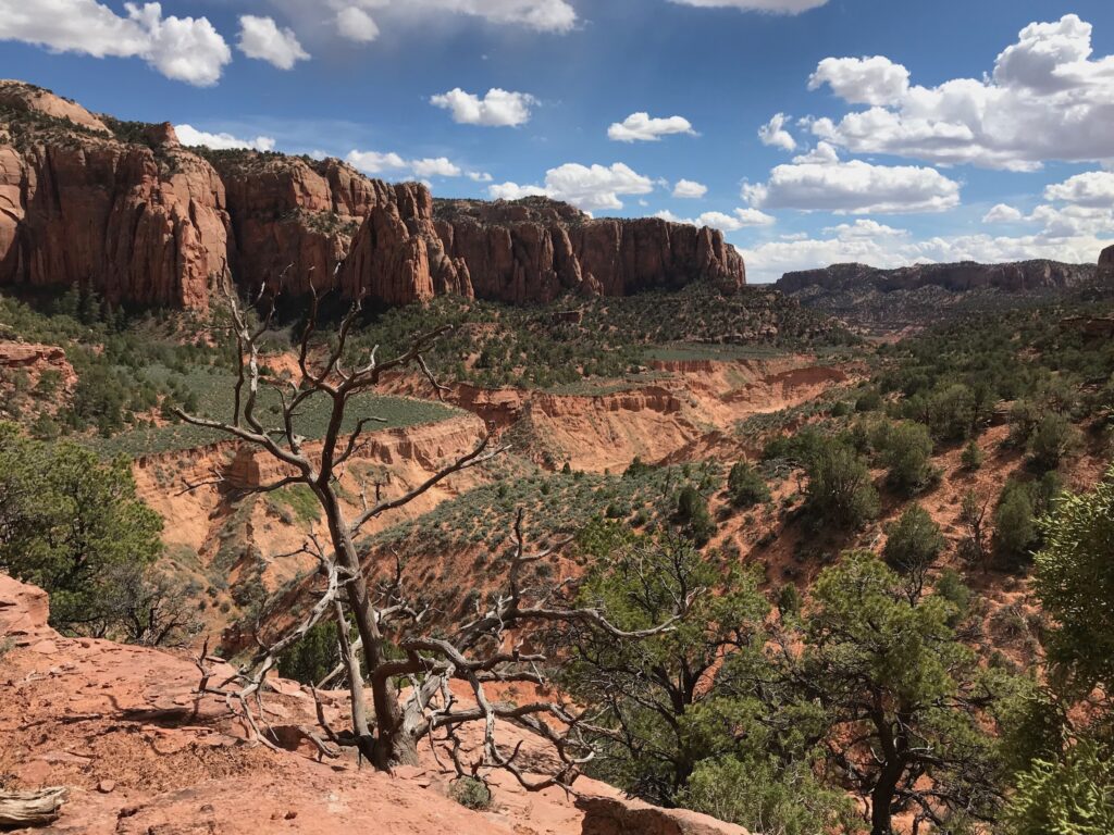 Tsegi Canyon | SInjin Eberle