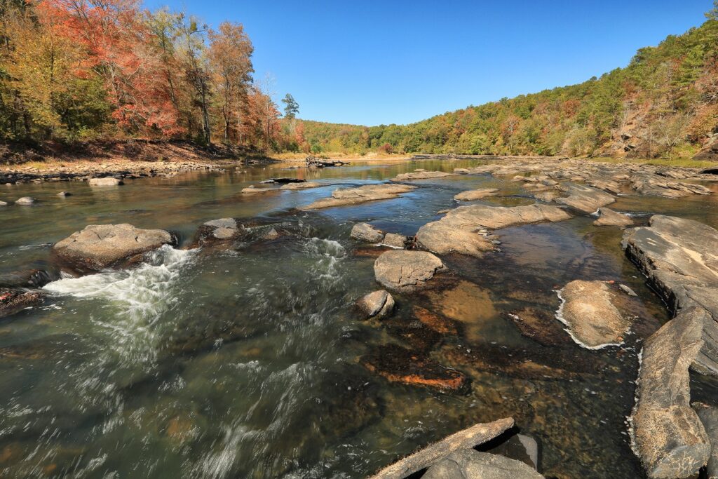 Flint River at Sprewell Bluff | Photo by Alan Cressler