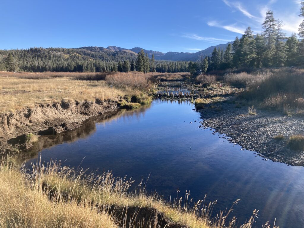 Beaver dam analogs installed at Faith Valley in the West Fork Carson River watershed | Photo by Julie Fair