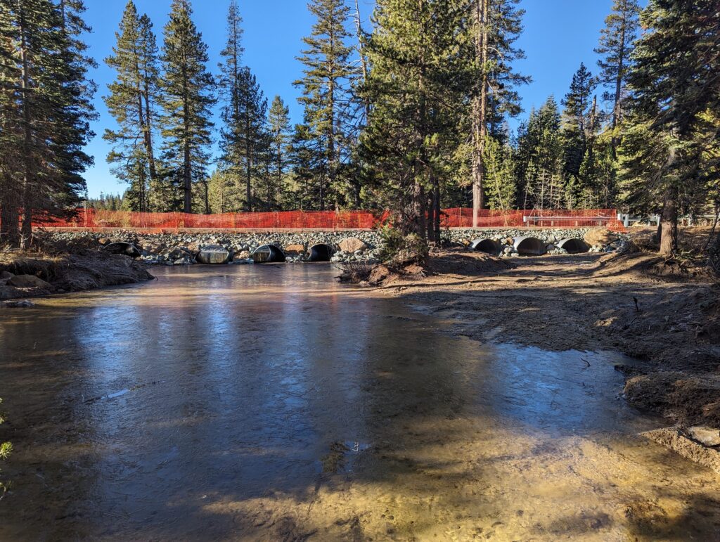 The stream at Wilson Ranch Meadow in the American River watershed, with the road crossing in the background | Photo by Maiya Greenwood