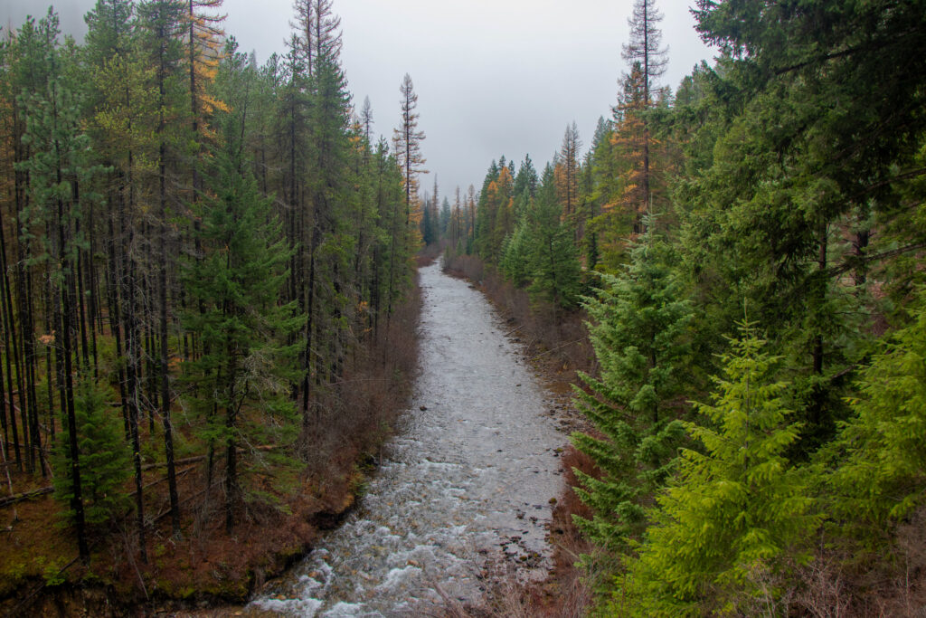 Fish Creek | Jaydon Green