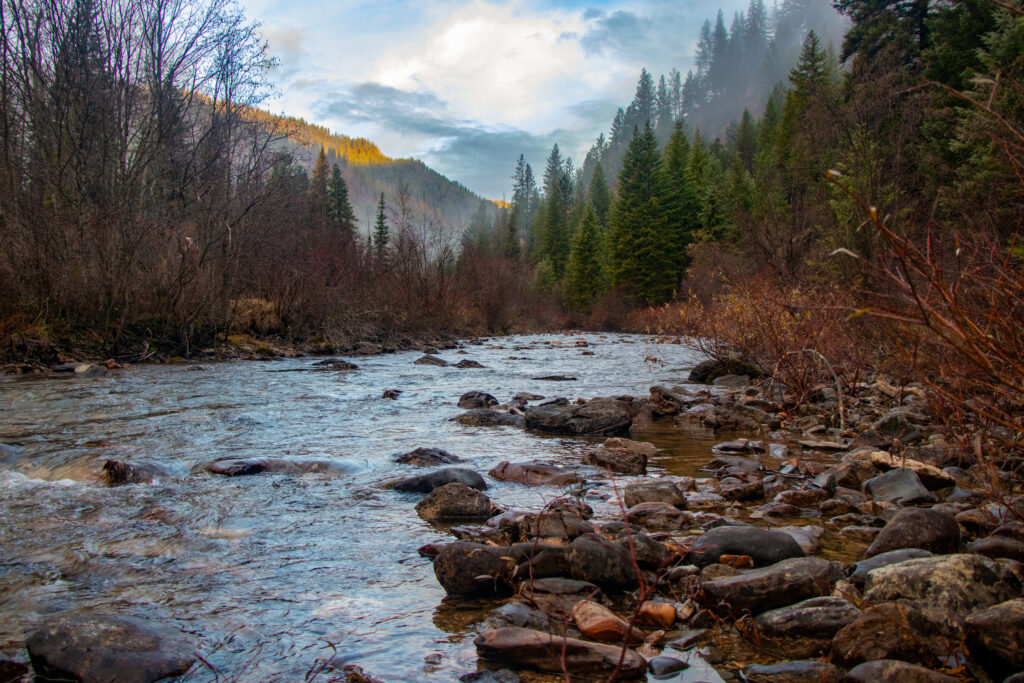 North Forth Fish Creek | Jaydon Green