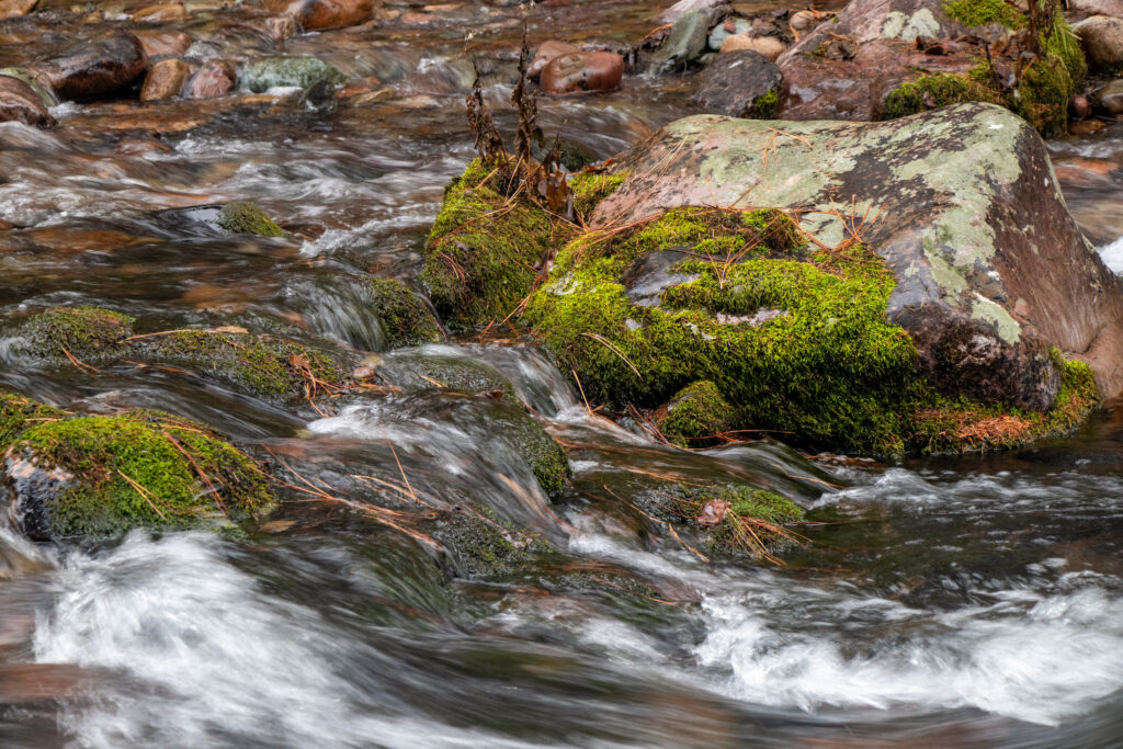 Rattlesnake Creek | Jaydon Green