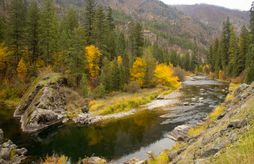 Thompson River | Jaydon Green