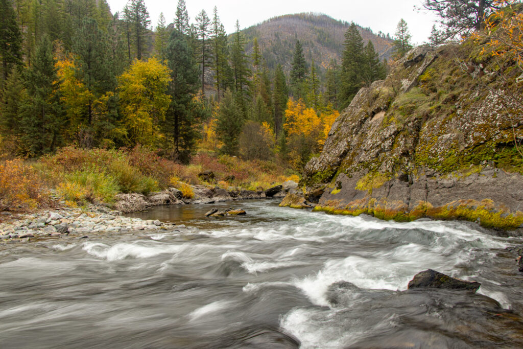 Thompson River | Jaydon Green