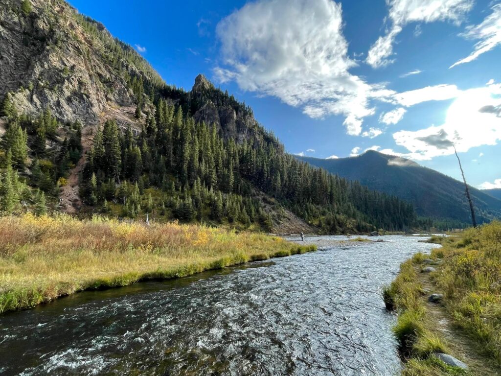 Upper Madison River, Montana | Scott Bosse