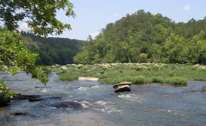 Cahaba River, Alabama | Flickr