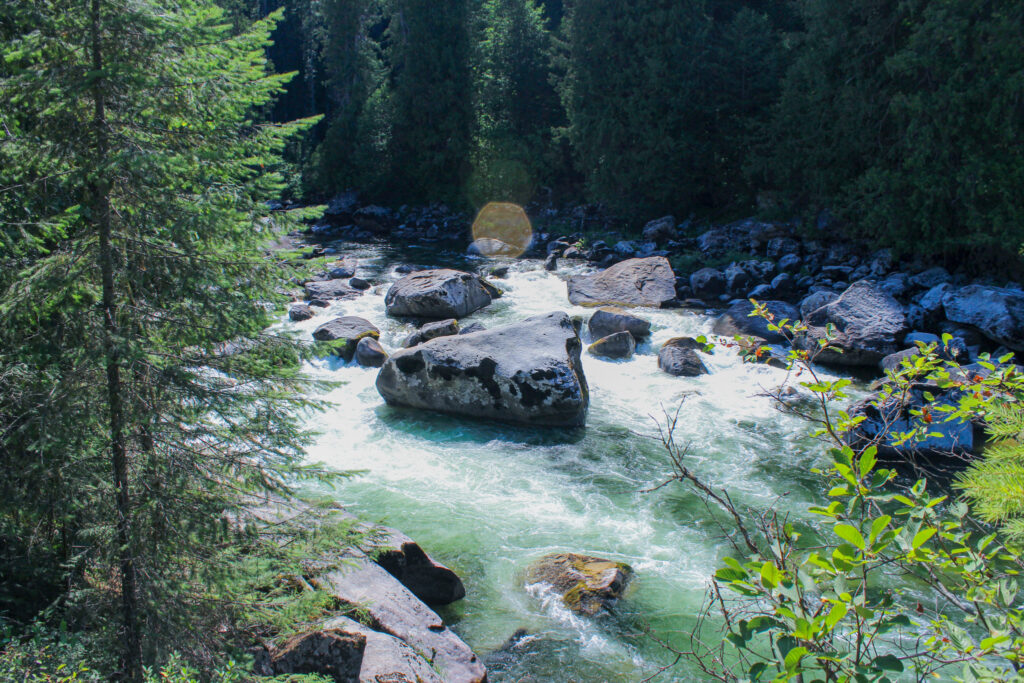 North Fork of the Clearwater River | Lisa Ronald