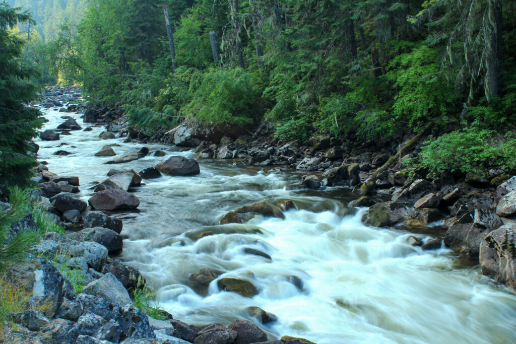 South Fork of the Clearwater River | Lisa Ronald