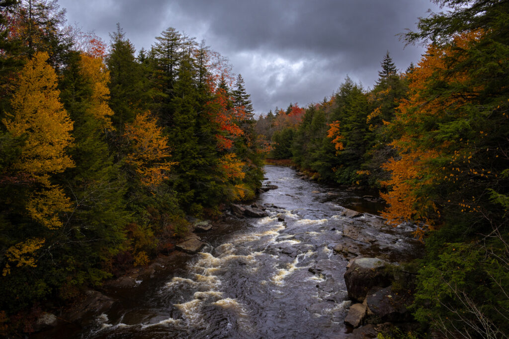 Blackwater River, WV | Frank Gebhard